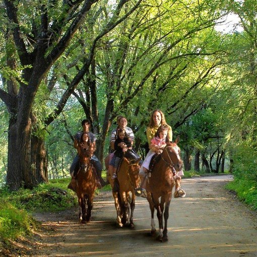 Lugares para visitar en el Valle de Calamuchita